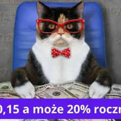Ile można zarobić na funduszach? Zaskakujące zyski, które Cię zadziwią