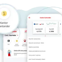 Kantor online - Sprzedaż Euro bezpieczna i szybka